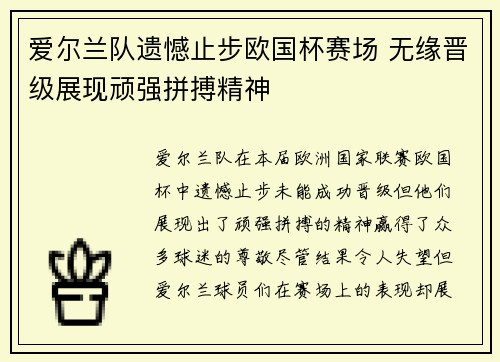 爱尔兰队遗憾止步欧国杯赛场 无缘晋级展现顽强拼搏精神